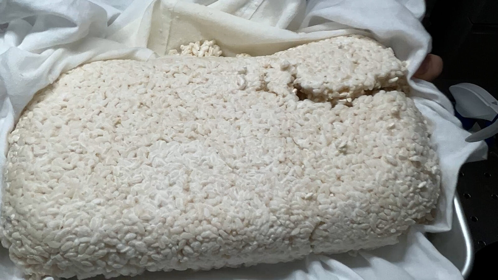 【米麹】麹菌を発酵するときの適切な温度を維持させる方法とは