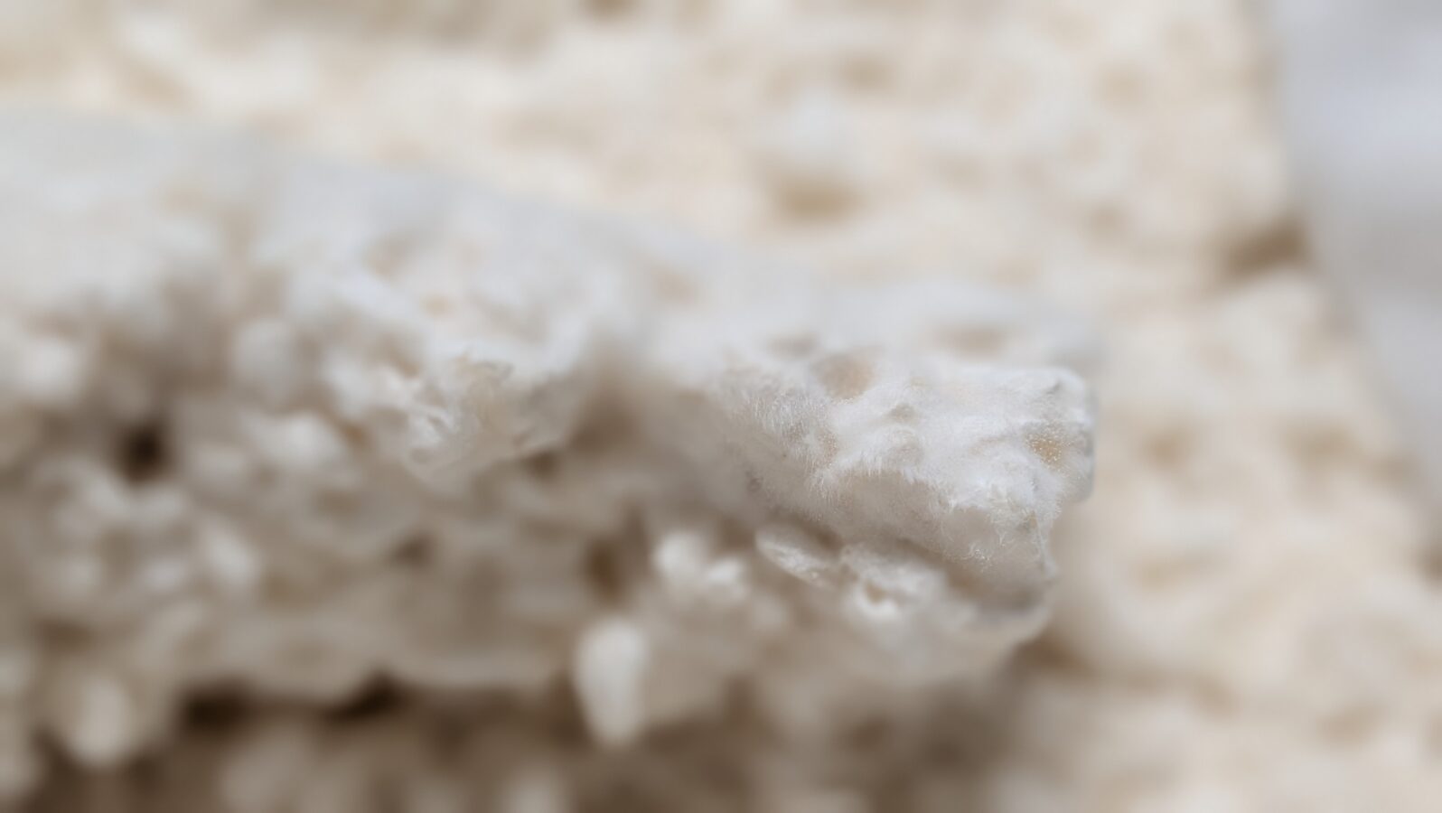 上手になってきた米麹作り