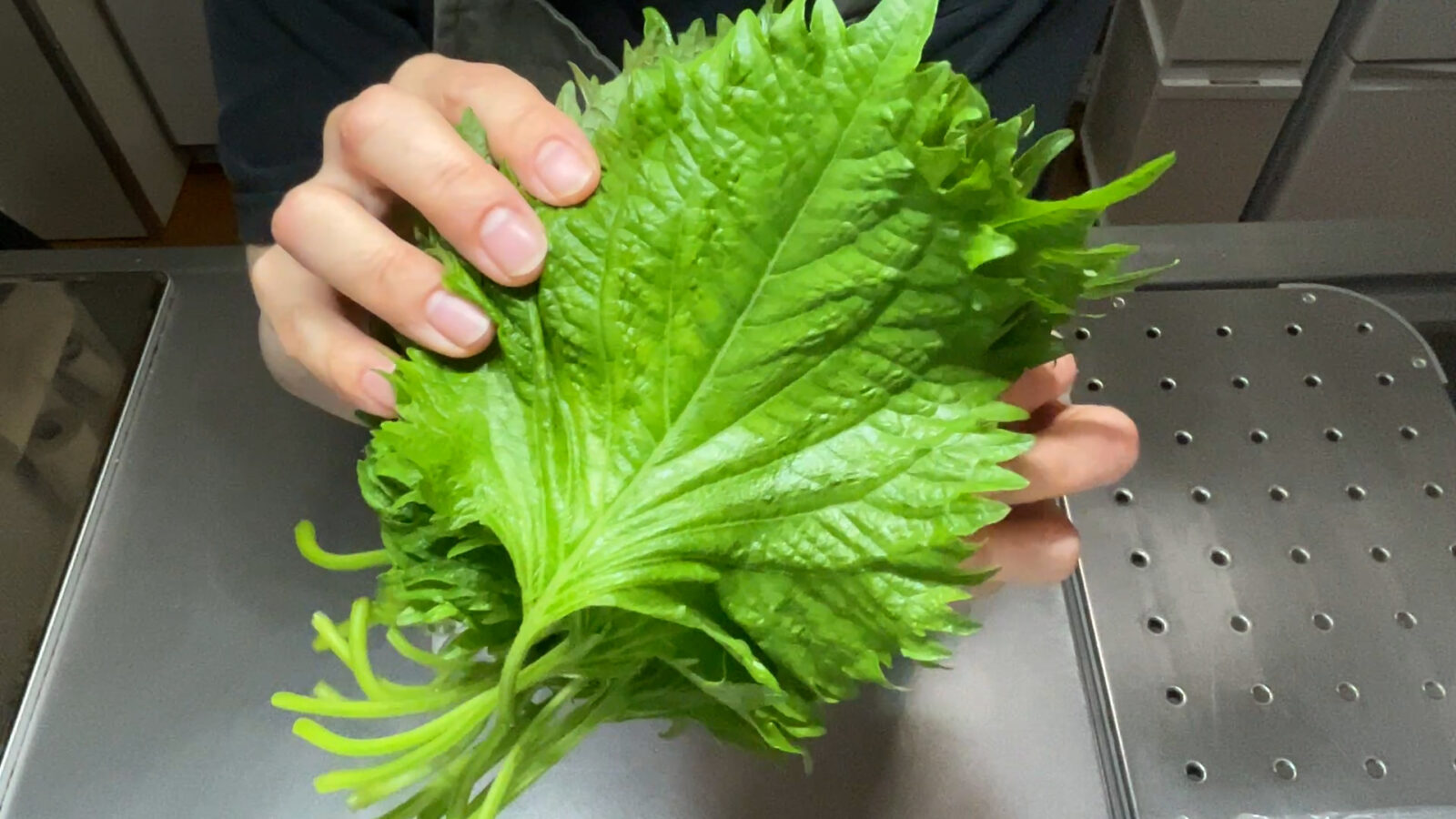 【換算機能付きレシピ】大葉のジェノベーゼ